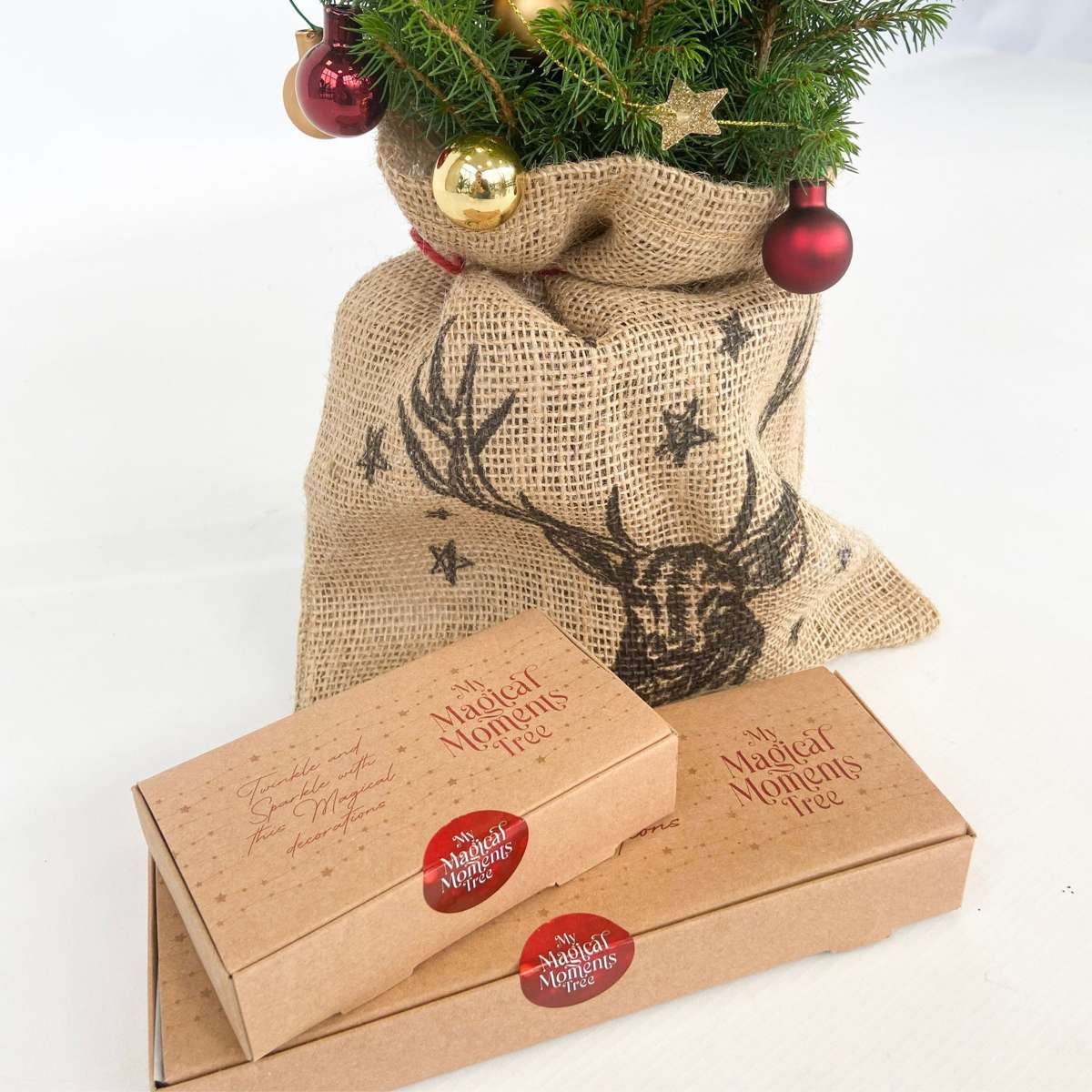 Other Green Houseplants Mini-Weihnachtsbaum Mit Jute-Sack – Picea Glauca Conica – 55–65Cm – ⌀15Cm